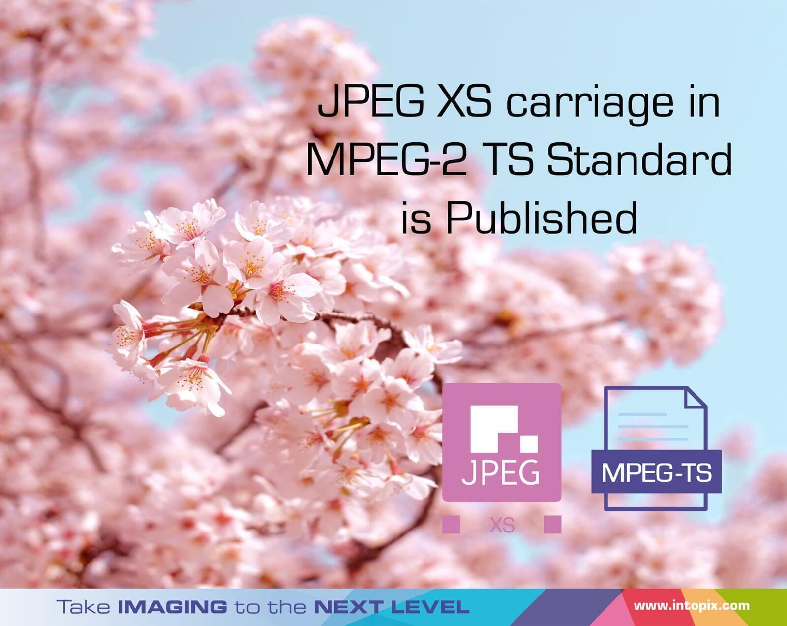JPEG XS Carriage in MPEG-2 TS Standard is Published